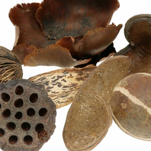 Floristik24 Exotický sortiment prírody v sieťke 200g