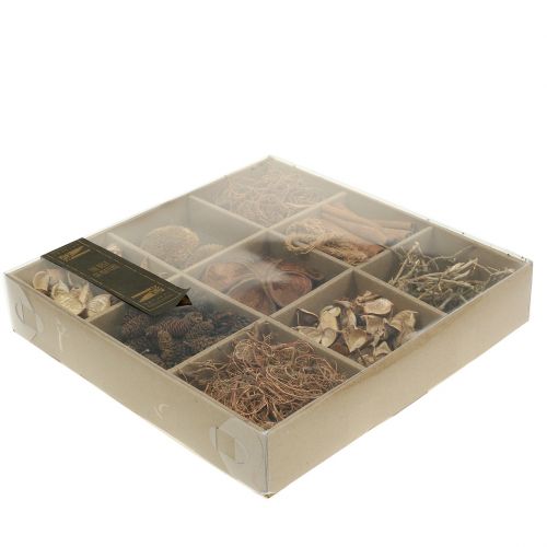 Floristik24 Exotická zmes prírody