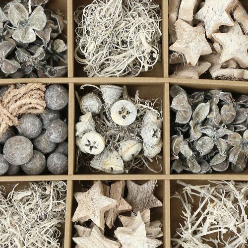 Floristik24 Exotická zmes praná biela