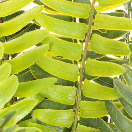 Umelá vetvička papradia, umelá zelená rastlina na dekoráciu, 45 cm | Floristik24.sk