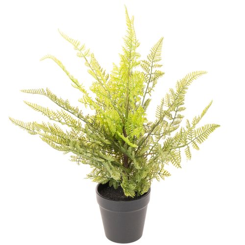 Umelá papraď v kvetináči na vnútornú zeleň, 40 cm