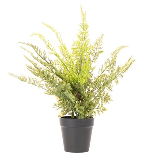 Umelá papraď v kvetináči na vnútornú zeleň, 40 cm | Floristik24.sk
