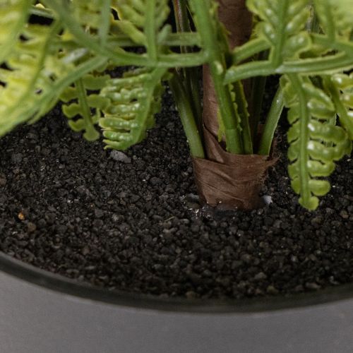 Umelá papraď v kvetináči na vnútornú zeleň, 40 cm | Floristik24.sk