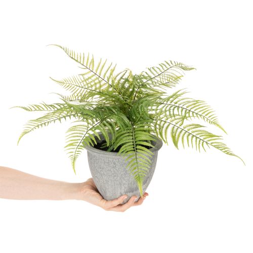 Umelá papraď v kvetináči do obývačky a kancelárie, 35 cm | Floristik24.sk
