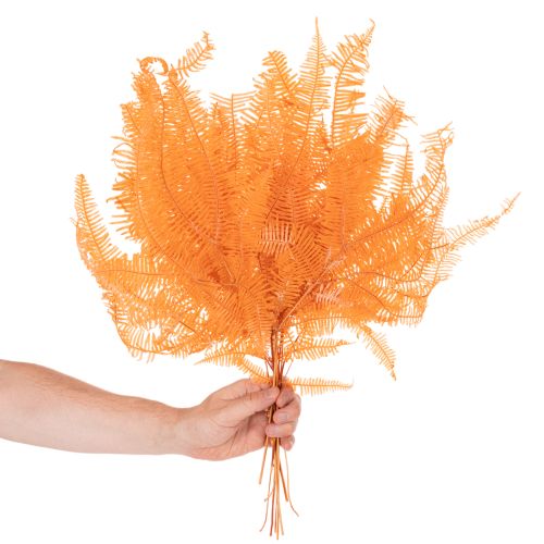 Konár papradia, konzervovaná papraď, sušená dekorácia na aranžmány, 60 cm, 10 kusov | Floristik24.sk