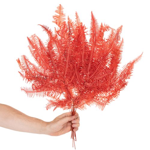 Paprade, konzervované sušené kvety, jesenná dekorácia, 60 cm, 10 kusov | Floristik24.sk