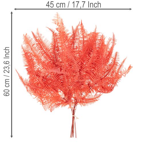 Paprade, konzervované sušené kvety, jesenná dekorácia, 60 cm, 10 kusov | Floristik24.sk