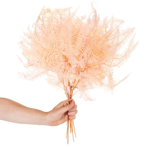 Sušené listy papradia, dekorácia z papradia do vázy, 60 cm, 10 kusov | Floristik24.sk