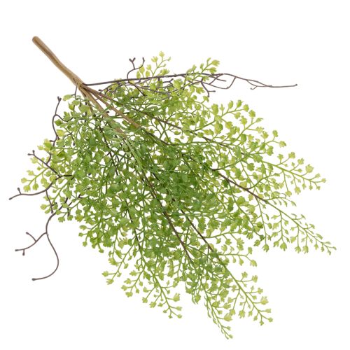 Umelá zelená vetvička Ruscus na kvetinovú dekoráciu, 41 cm | Floristik24.sk