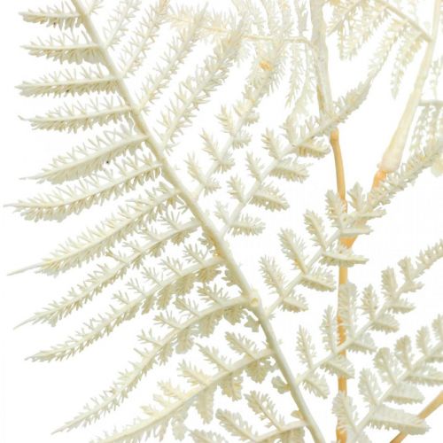 položky Ozdobná listová papraď, umelá rastlina, konár papradia, ozdobný list paprade biely L59cm