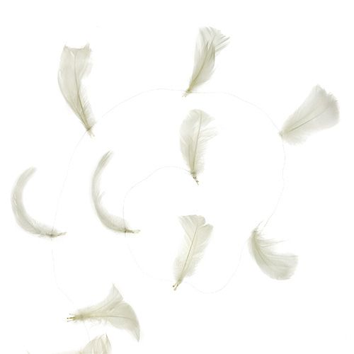 Floristik24 Pierko na drôte krémové 10m