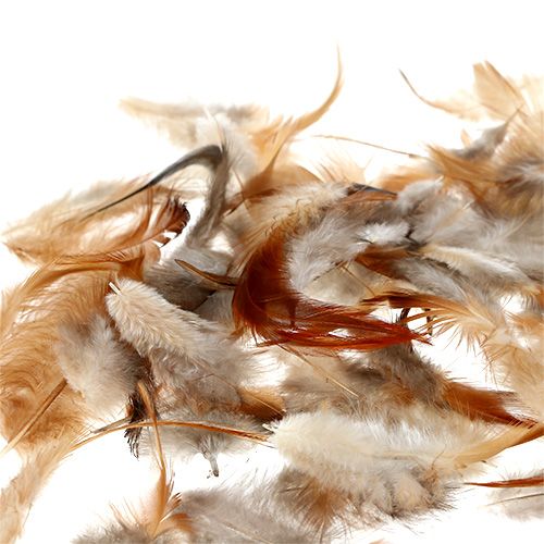 Floristik24 Druh peria. 5-15cm príroda 228ks