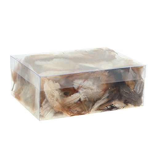 Floristik24 Druh peria. 5-15cm príroda 228ks