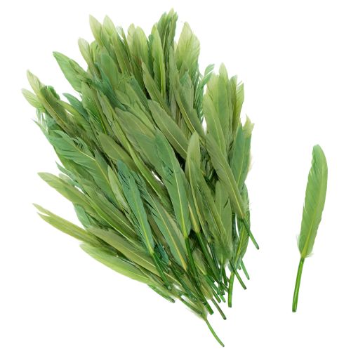 Dekoratívne pierka pre štýlovú atmosféru a pôsobivé dekorácie 10 cm