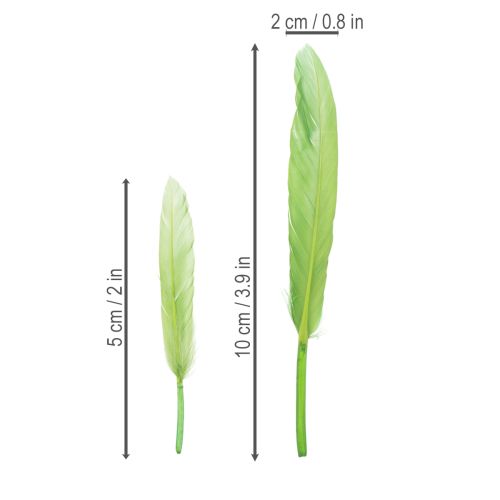 položky Dekoratívne pierka pre štýlovú atmosféru a pôsobivé dekorácie 10 cm