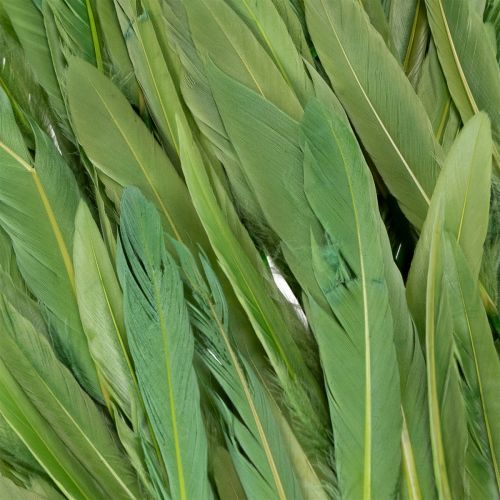 položky Dekoratívne pierka pre štýlovú atmosféru a pôsobivé dekorácie 10 cm