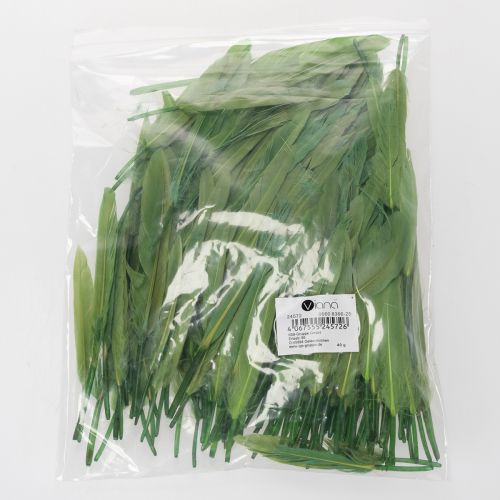 položky Dekoratívne pierka pre štýlovú atmosféru a pôsobivé dekorácie 10 cm