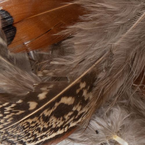 položky Pierka pre všestranné nápady na tvorenie, kreatívny dizajn a dekorácie, 5 cm, 3 g