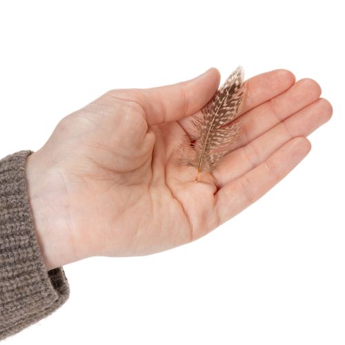 položky Pierka pre všestranné nápady na tvorenie, kreatívny dizajn a dekorácie, 5 cm, 3 g