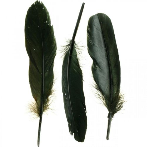 položky Deco pierka čierne vtáčie pierka na výrobu 14-17cm 20g
