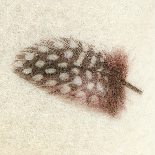 Floristik24 Plstená stuha krémová so vzorom peria 15cm 2m