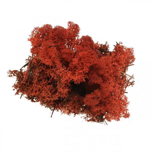 položky Dekoračný machový červený Siena prírodný mach na ručné práce, sušený, farbený 500g