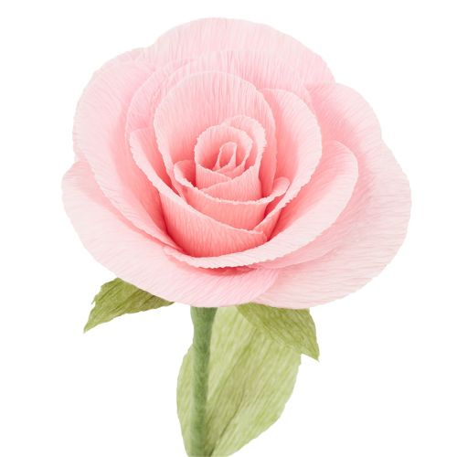 položky Krepový papier pre kvetinárstvo, trávovozelený, 50x250cm