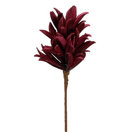 Floristik24 Penový kvet Bordeaux 14cm L66cm