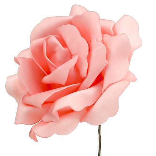Floristik24 Pena Rose Pena Rose Losos Ø15cm 4ks