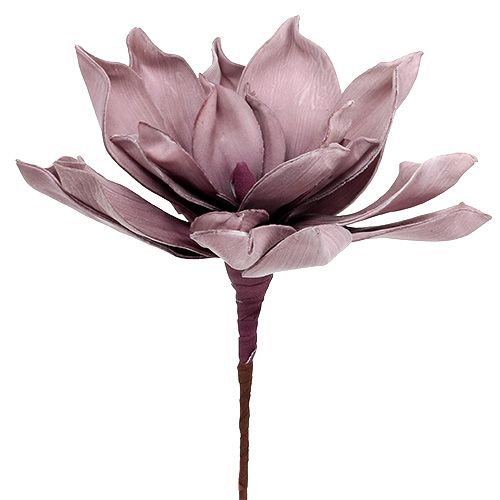 Floristik24 Penový kvet Magnolia Berry Ø15cm L67cm