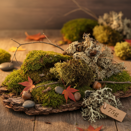 položky Dekoratívny mach na tvorenie, zmes zeleného a svetlozeleného prírodného machu, 75 g