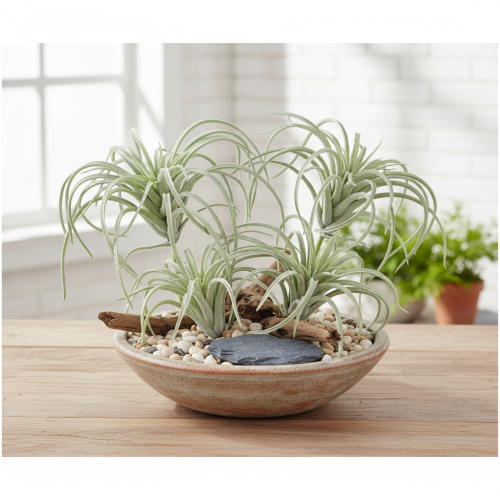 položky Tillandsia sukulentné umelé zelené rastliny 13cm