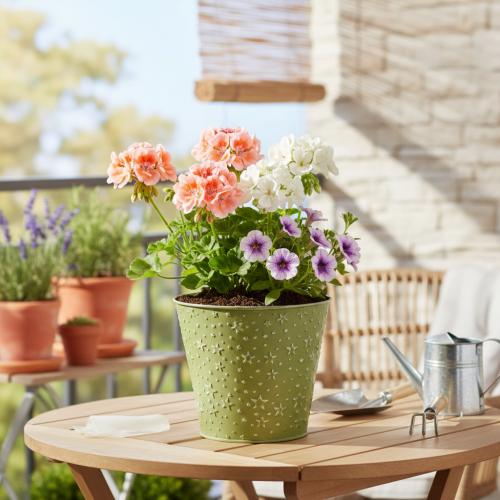 položky Kovový kvetináč, kvetináč, hviezdy, zelený a strieborný, Ø16cm