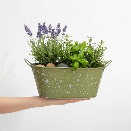 položky Oválna kovová misa s hviezdičkami a rúčkami, zelená, 31 × 16 cm, V 12,5 cm