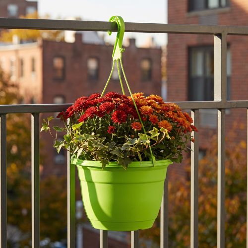 Závesný košík 25cm zelený | Floristik24.sk