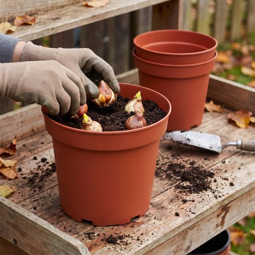 Kvetináč plastový Ø29cm 10ks | Floristik24.sk