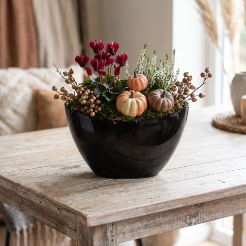 Ozdobná miska čierna oválna rastlinná loďka 24x9,5cmx14,5cm | Floristik24.sk