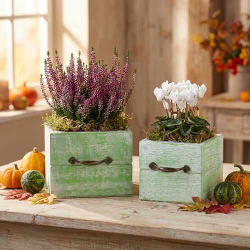 Kvetináč drevená zásuvka svetlozelená 15x15/12x12cm sada 2 ks | Floristik24.sk