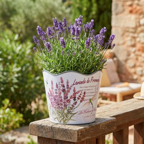 Kvetináč plastový kvetináč letná levanduľa Ø16,5cm V13,5cm | Floristik24.sk
