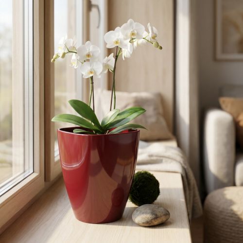 Kvetináč na orchideu lesklý Ø12,5cm Bordeaux 1 ks | Floristik24.sk