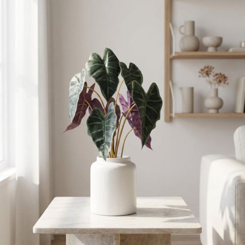 Alocasia šípka listová zelená, fialová umelá rastlina V48cm | Floristik24.sk