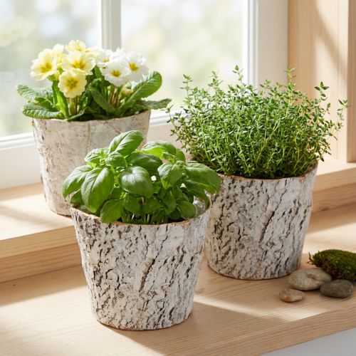 Kvetináč s imitáciou kôry, ideálny do rustikálneho interiéru a na dekoráciu rastlín, 12 cm, 4 kusy | Floristik24.sk