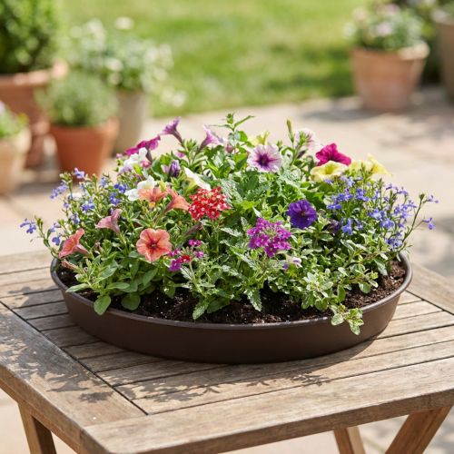 Prsteň na rastliny "Rondino" Ø35-55cm, 1ks | Floristik24.sk