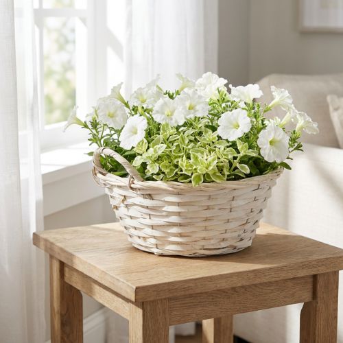 Košík s rúčkami, košík z vlákniny, kvetináč, biely, vintage, dekoratívny, Ø35cm | Floristik24.sk