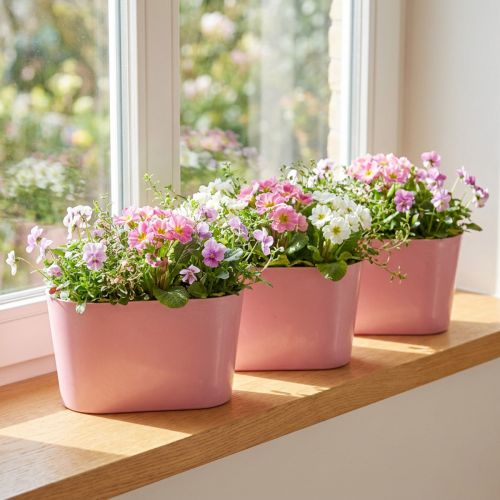 Miska na rastliny oválna ružová dekoračná miska plastová 20×10×11cm 3ks | Floristik24.sk