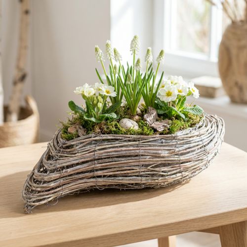 Rastlinná loďka rastlina vlna ratan prírodný biely 45x16cm | Floristik24.sk
