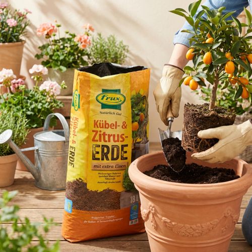 FRUX zemina do kvetináčov a citrusových rastlín 18 l | Floristik24.sk