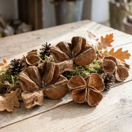 Landlotus Nature 50 ks | Floristik24.sk