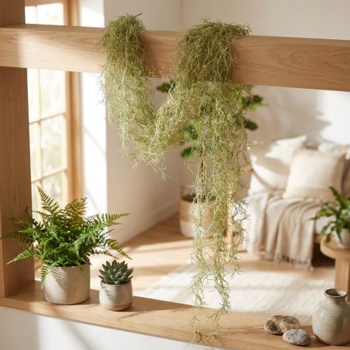 Tillandsia dekoračný záves Tillandsia umelá zelená biela 180cm | Floristik24.sk