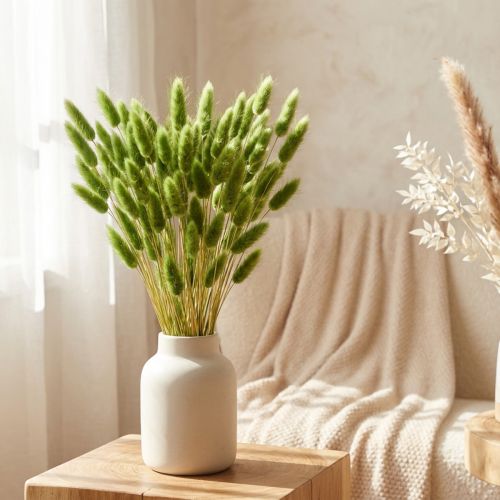 Tráva zajačica okrasná tráva Lagurus olivovo zelená L65cm 50g | Floristik24.sk